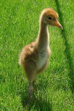 White Green Yellow on 22nd May 2013 White Green Yellow on 22nd May 2013